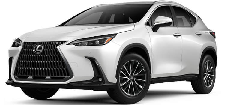 2025 Lexus NX 250 Base 4D Sport Utility